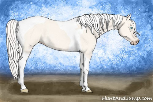 Horse Color: Silver Perlino Dun Tobiano 