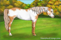 Horse Color:Palomino Frame 