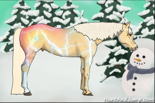 Horse Color: Palomino 