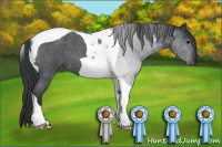 Horse Color:Brown Roan Tobiano 