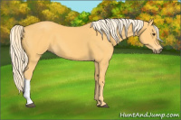 Horse Color:Palomino 