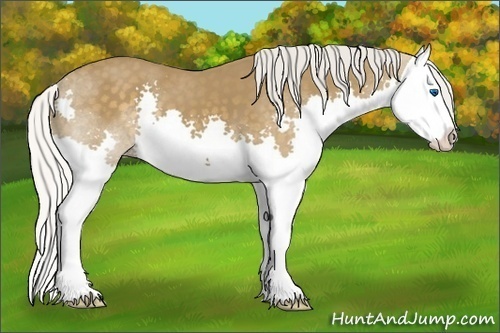 Horse Color: Silver Smoky Black Splash 