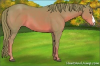 Horse Color:Watercolor Chestnut 