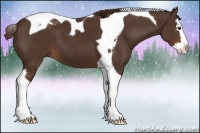 Horse Color:Liver Chestnut Splash Tobiano 