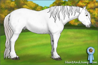 Horse Color:Gray Chestnut Tobiano Leopard 