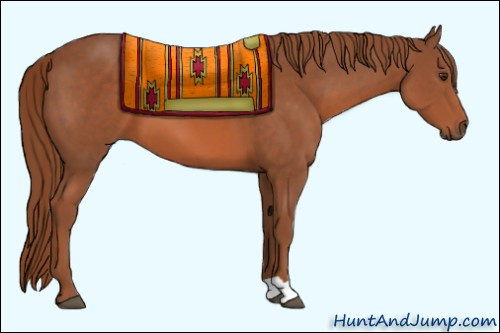 Horse Color: Liver Chestnut 