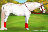Horse Color:Gold Champagne Sabino Splash Frame Appaloosa 