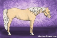 Horse Color:Silver Amber Cream Champagne Roan 