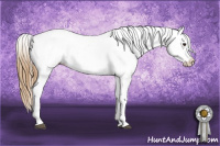 Horse Color:Chestnut Appaloosa 