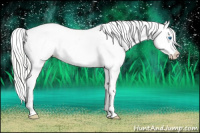 Horse Color:White Spotted Silver Amber Cream Champagne Pearl Dun Splash Near Leopard Rabicano 
