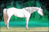 Horse Color:White Spotted Bay Dun Splash Appaloosa 