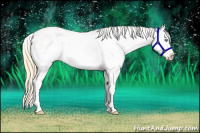 Horse Color:White Spotted Smoky Black Pearl Splash Blanket Rabicano 