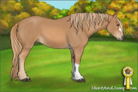 Horse Color:Red Roan 