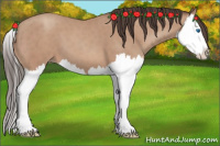 Horse Color:Sable Champagne Splash 