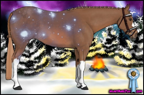 Horse Color: Chestnut 