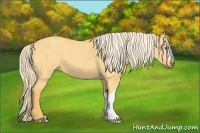 Horse Color:Palomino Dun 