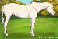 Horse Color:Silver Amber Cream Champagne Dun 