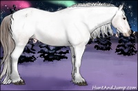 Horse Color:Bay Roan Varnish 