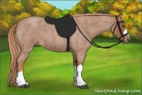 Horse Color:Red Roan 