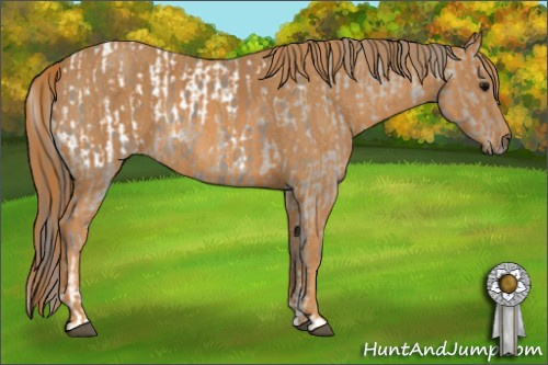 Horse Color: White Spotted Grullo Blanket  Brindle
