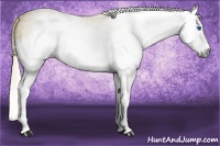 Horse Color:Gray Palomino Splash 