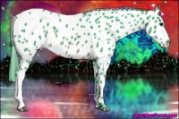 Horse Color:Watercolor Brown Near Leopard 