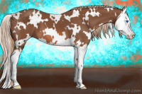 Horse Color:White Spotted Liver Chestnut Splash 