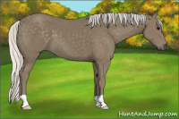 Horse Color:Silver Smoky Black 
