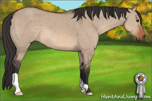 Horse Color: Brown Dun 
