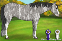 Horse Color:Grullo Ice Splash 
