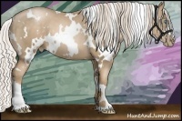 Horse Color:White Spotted Chocolate Palomino Pearl 