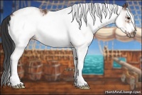 Horse Color:White Spotted Bay Frame