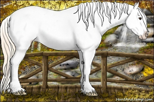 Horse Color: Red Roan Splash Frame Varnish 