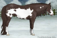 Horse Color:Liver Chestnut Frame 