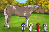 Horse Color:White Spotted Silver Black Tobiano 