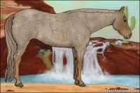 Horse Color:Chocolate Palomino Roan 