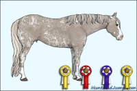 Horse Color:Silver Smoky Grullo Ice Sabino Splash 