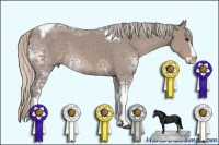 Horse Color:Silver Black Ice Sabino Splash Tobiano
