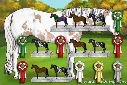 Horse Color: Unknown 