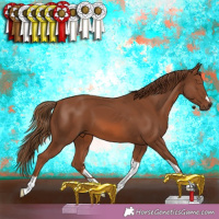 Horse Color:Chestnut Sabino 
