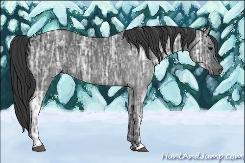 Horse Color:Black Ice 