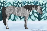 Horse Color:Black Ice 