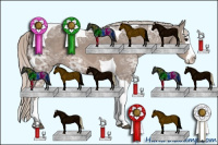 Horse Color:Silver Black Ice Splash Tobiano 