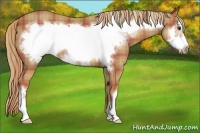 Horse Color:Plaid  Chestnut Frame 