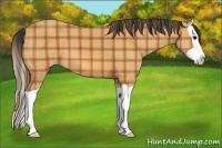 Horse Color:Plaid  Bay Splash 