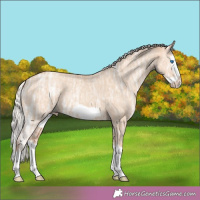 Horse Color:Silver Classic Champagne Ice Dun Splash Frame 