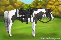 Horse Color:Smoky Black Splash Tobiano 
