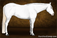 Horse Color:Buckskin Roan Dun Near Leopard 