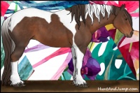 Horse Color:Liver Chestnut Tobiano 