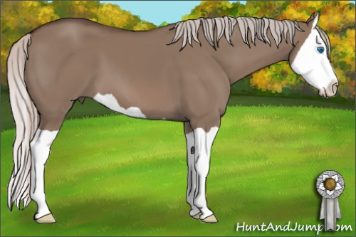 Horse Color: Silver Brown Dun Splash 